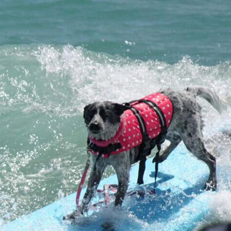 Dog Life Vest