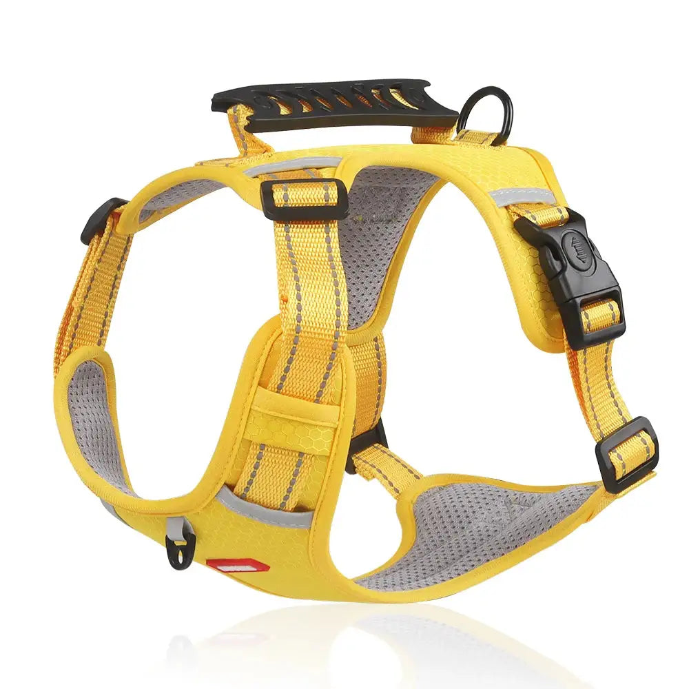 Reflective Stress- Relieving Harness